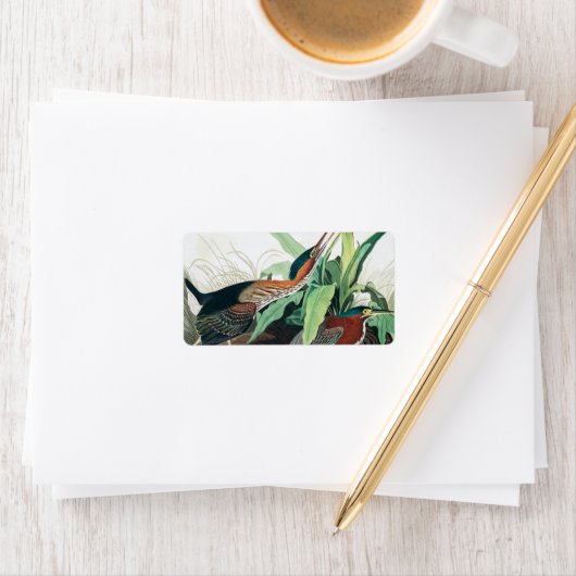 Green Heron von John James Audubon Adressaufkleber (Insitu)