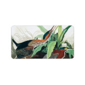 Green Heron von John James Audubon Adressaufkleber (Vorne)