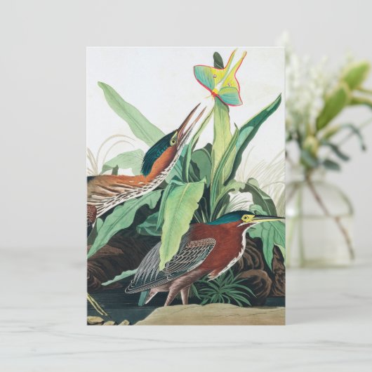 Green Heron von John James Audubon Dankeskarte (Stehend Vorderseite)