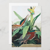 Green Heron von John James Audubon Dankeskarte (Vorne/Hinten)