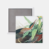 Green Heron von John James Audubon Magnet (Vorderseite/Rückseite)