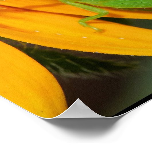 Green Hopper Poster (Ecke)