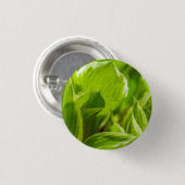 Green Hosta-Blätter Button (Vorne & Hinten)