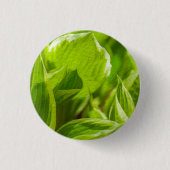 Green Hosta-Blätter Button (Vorderseite)