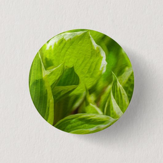 Green Hosta-Blätter Button (Vorderseite)