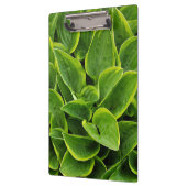Green hosta-Blätter drucken Klemmbrett (Links)