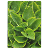 Green hosta-Blätter drucken Klemmbrett (Rückseite)