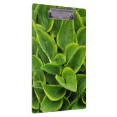 Green hosta-Blätter drucken Klemmbrett (Rechts)
