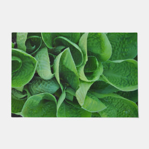 Green hosta-Blätter Fußmatte