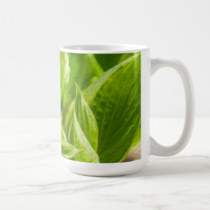 Green Hosta-Blätter Kaffeetasse