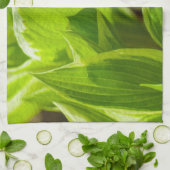 Green Hosta-Blätter Küchentuch (Gefaltet)