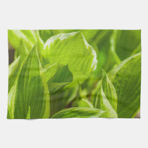 Green Hosta-Blätter Küchentuch