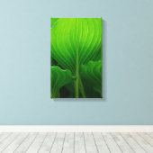 Green Hosta-Blätter Leinwanddruck (Insitu (Holzboden))