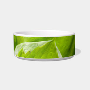 Green Hosta-Blätter Napf