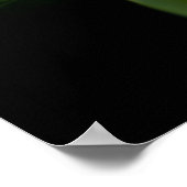 Green Hosta Leaf auf Black Poster (Ecke)