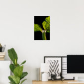 Green Hosta Leaf auf Black Poster (Heimbüro)
