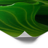 Green Hosta Leaf Poster (Ecke)
