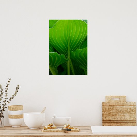 Green Hosta Leaf Poster (Küche)