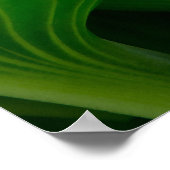 Green Hosta Leaf Poster (Ecke)