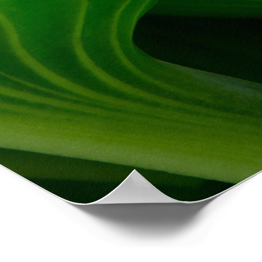 Green Hosta Leaf Poster (Ecke)