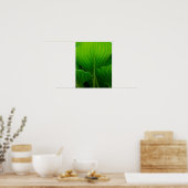 Green Hosta Leaf Poster (Küche)