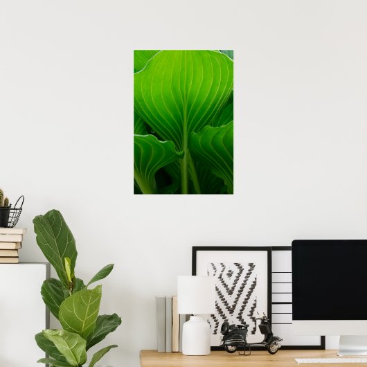 Green Hosta Leaf Poster (Heimbüro)