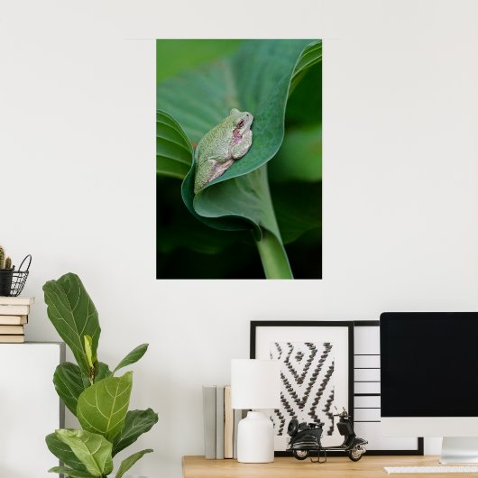 Green Hosta Leaf und Frosch Poster (Heimbüro)