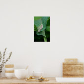 Green Hosta Leaf und Frosch Poster (Küche)