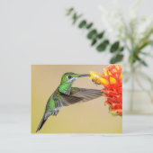 Green Hummingbird & Bee Postkarte (Stehend Vorderseite)