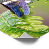 Green Hummingbird Couple auf einem Leaf Poster (Ecke)
