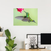 Green Hummingbird Fliegen zu einer roten Blume Poster (Heimbüro)