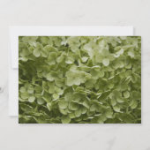 Green Hydrangea Blume Quinceanera Einladung (Rückseite)