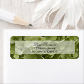 Green Hydrangea Blume Rücksendeadresse (Insitu)