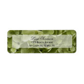 Green Hydrangea Blume Rücksendeadresse (Vorne)