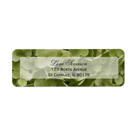 Green Hydrangea Blume Rücksendeadresse (Vorne)