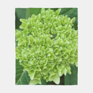 Green Hydrangea Fleecedecke