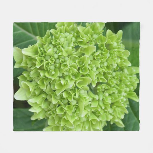Green Hydrangea Fleecedecke (Vorderseite (Horizontal))