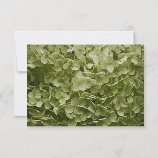 Green Hydrangea Floral Wedding RSVP (Rückseite)