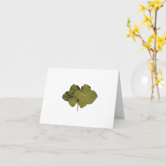 Green Hydrangea note card Karte (Gelbe Blume)
