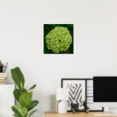Green Hydrangea Poster (Heimbüro)