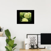 Green Hydrangeas Poster (Heimbüro)