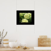 Green Hydrangeas Poster (Küche)
