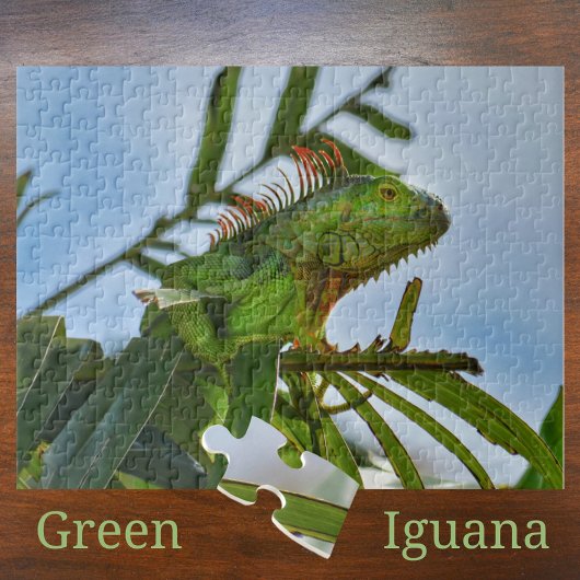 Green Iguana in einem Palm Tree Fotograf Jigsaw Pu Puzzle