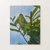 Green Iguana in einem Palm Tree Fotograf Jigsaw Pu Puzzle (Vertikal)