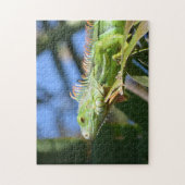 Green Iguana in einem Palm Tree Fotografie Puzzle (Vertikal)