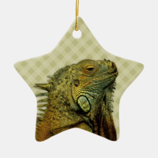 Green Iguana Keramik Ornament (Vorne)