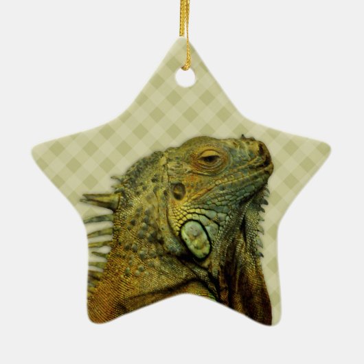 Green Iguana Keramik Ornament (Hinten)