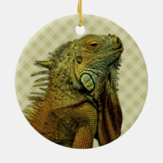 Green Iguana Keramikornament (Hinten)