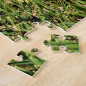 Green Iguana Lizard in Grass Puzzle (Seite)