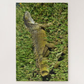 Green Iguana Lizard in Grass Puzzle (Vertikal)